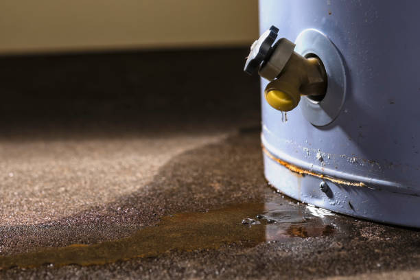 Best Mold removal after water damage  in West Fairview, PA