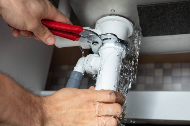 Best Water damage cleanup near me  in West Fairview, PA