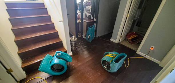 Best Fire Damage Restoration  in West Fairview, PA
