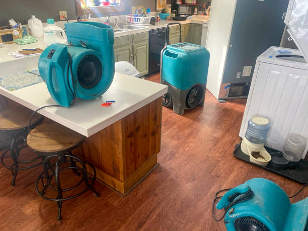 Best Water damage restoration near me  in West Fairview, PA