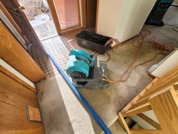 Best Water damage restoration process  in West Fairview, PA