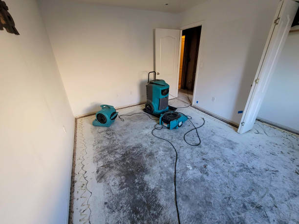 Best Ceiling water damage repair  in West Fairview, PA