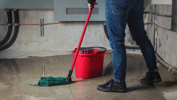 Best Carpet water damage restoration  in West Fairview, PA