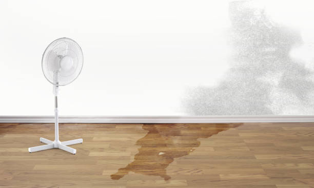 Best Water damage restoration near me  in West Fairview, PA