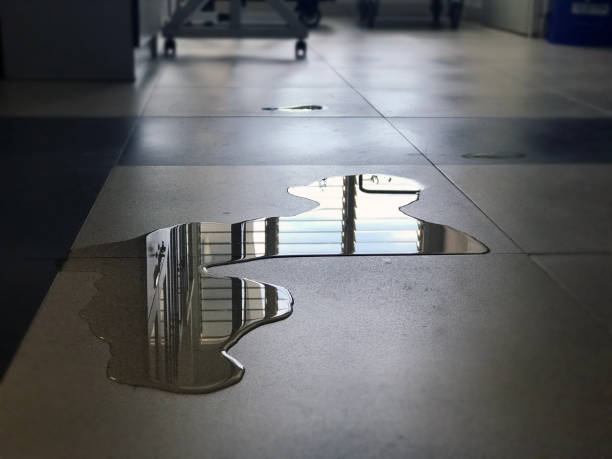 Best Water damage restoration services  in West Fairview, PA