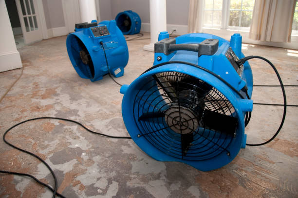 Best Water damage restoration specialists  in West Fairview, PA