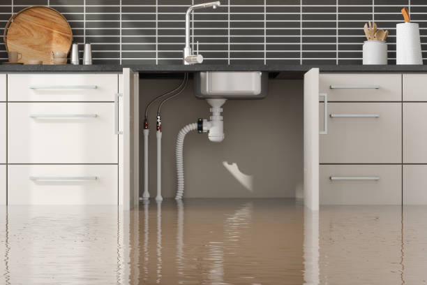 Best Commercial water damage restoration  in West Fairview, PA