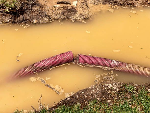 Best Basement water damage restoration  in West Fairview, PA
