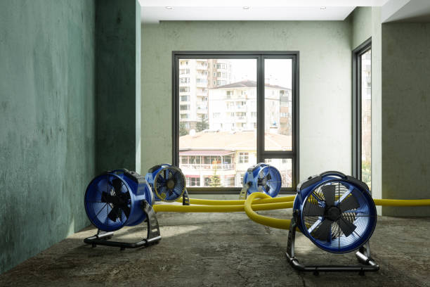 Best Sewage cleanup and water damage restoration  in West Fairview, PA