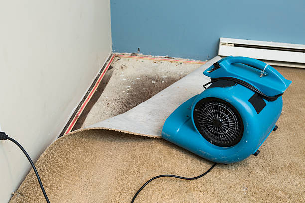 Best Flooded house restoration  in West Fairview, PA